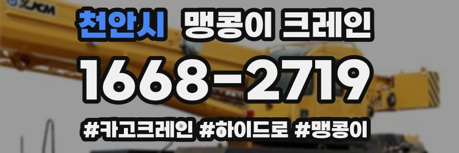 천안시 맹콩이 크레인