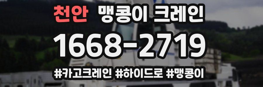 천안 맹콩이 크레인