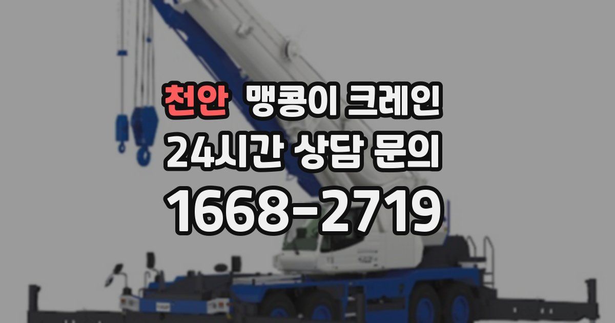 천안 맹콩이 크레인