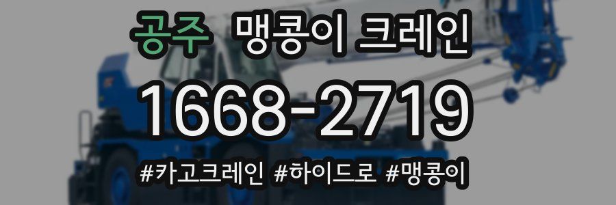 공주 맹콩이 크레인