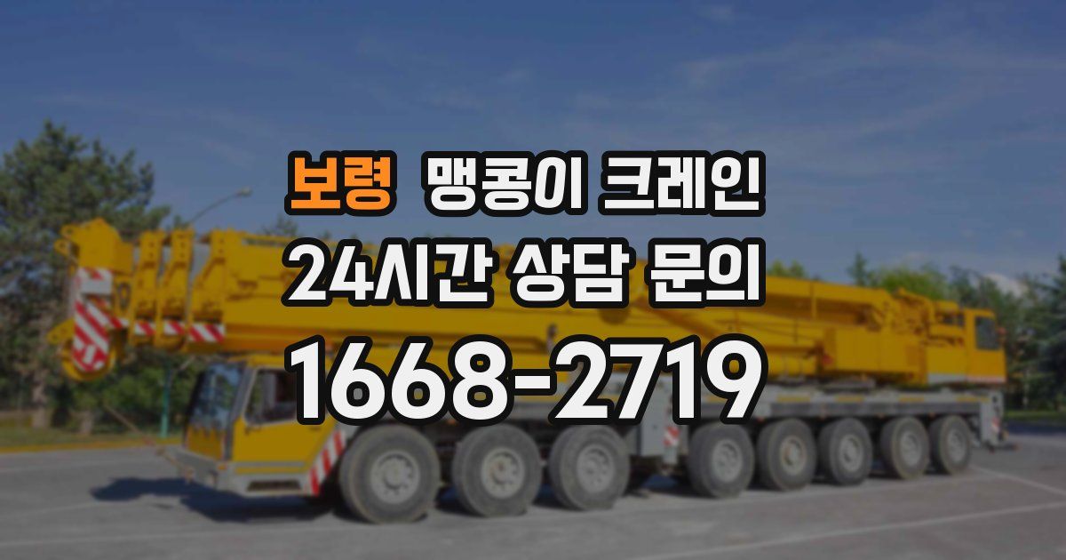 보령 맹콩이 크레인