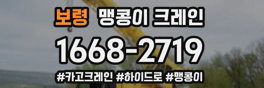 보령 맹콩이 크레인