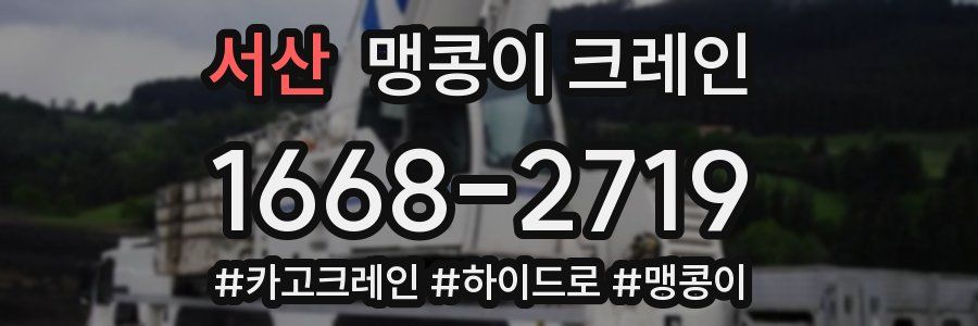 서산 맹콩이 크레인