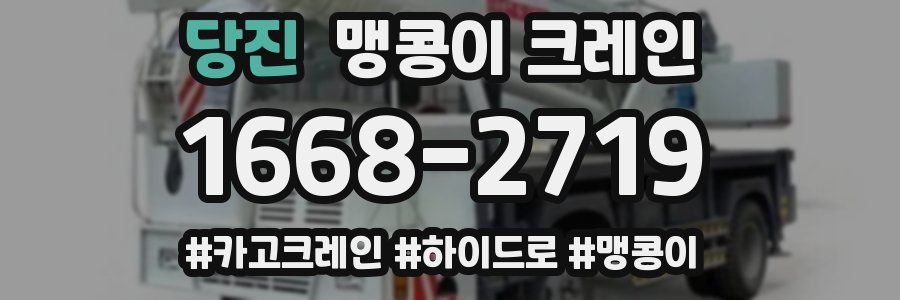 당진 맹콩이 크레인