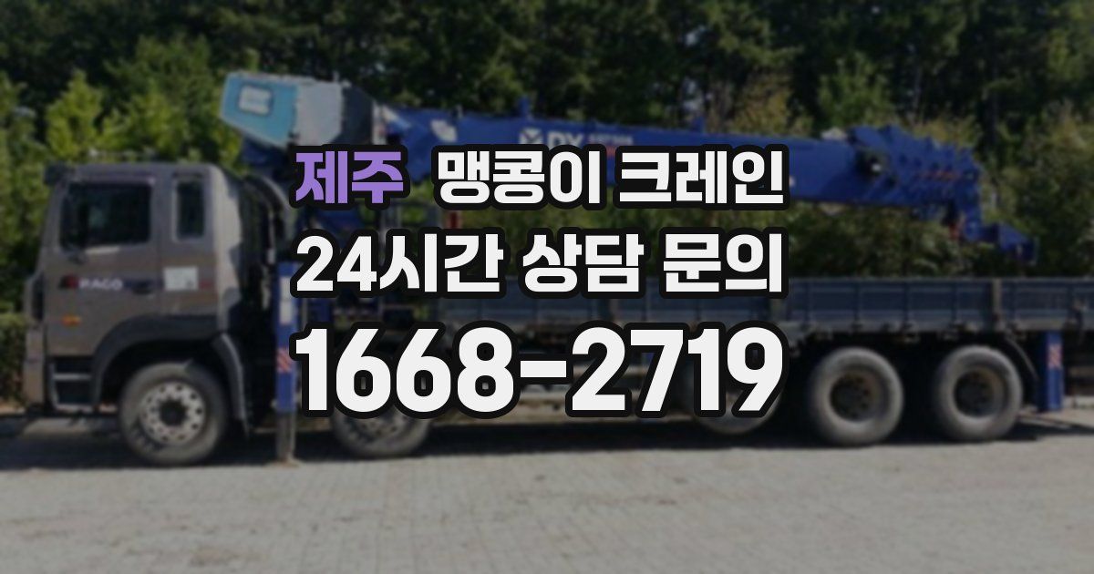 제주 맹콩이 크레인