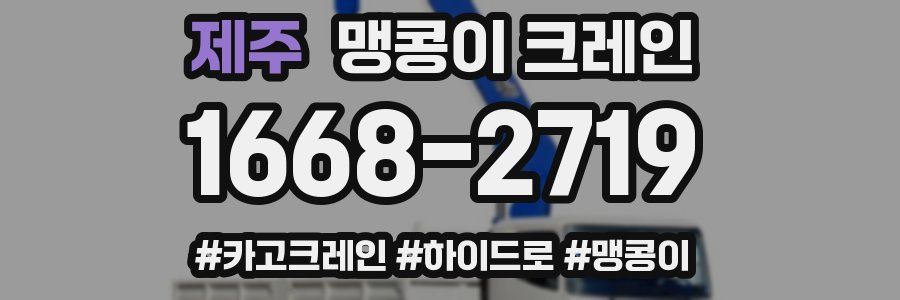 제주 맹콩이 크레인