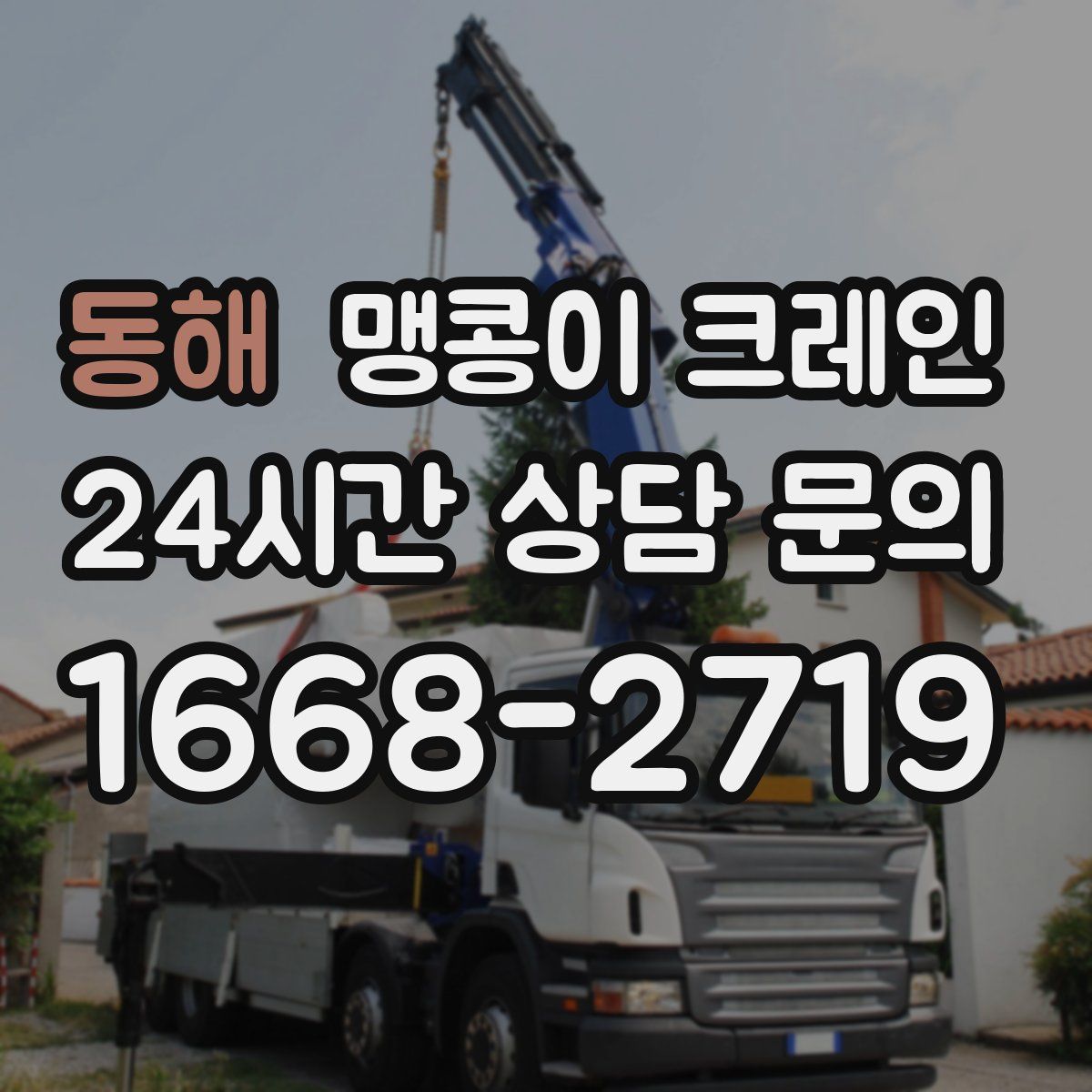 동해 맹콩이 크레인