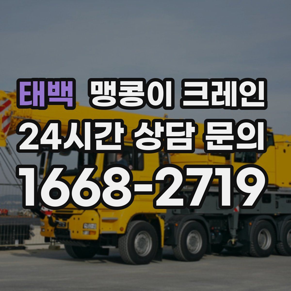 태백 맹콩이 크레인