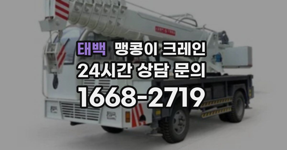 태백 맹콩이 크레인