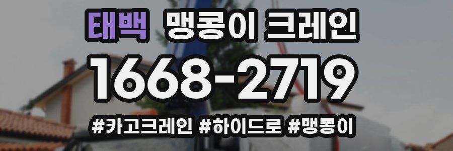 태백 맹콩이 크레인