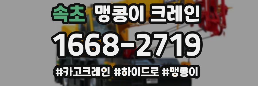 속초 맹콩이 크레인