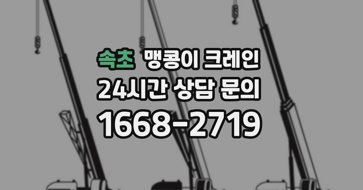 속초 맹콩이 크레인