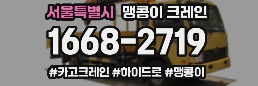 서울특별시 맹콩이 크레인