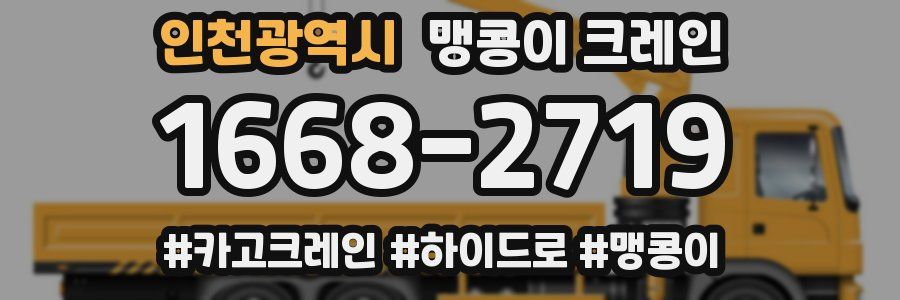 인천광역시 맹콩이 크레인