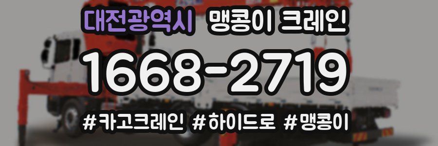대전광역시 맹콩이 크레인