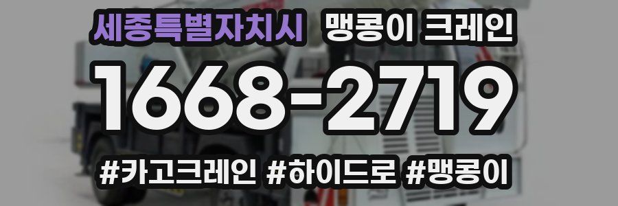 세종특별자치시 맹콩이 크레인