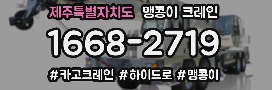 제주특별자치도 맹콩이 크레인