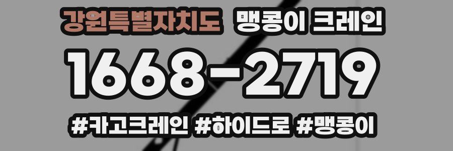 강원특별자치도 맹콩이 크레인