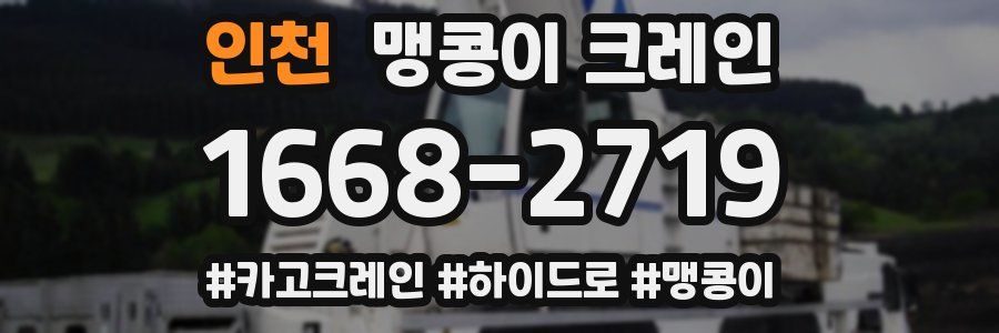 인천 맹콩이 크레인