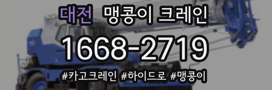 대전 맹콩이 크레인