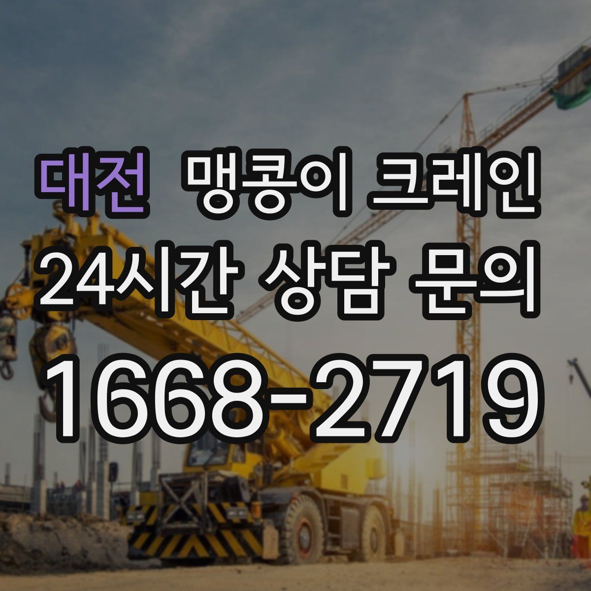 대전 맹콩이 크레인