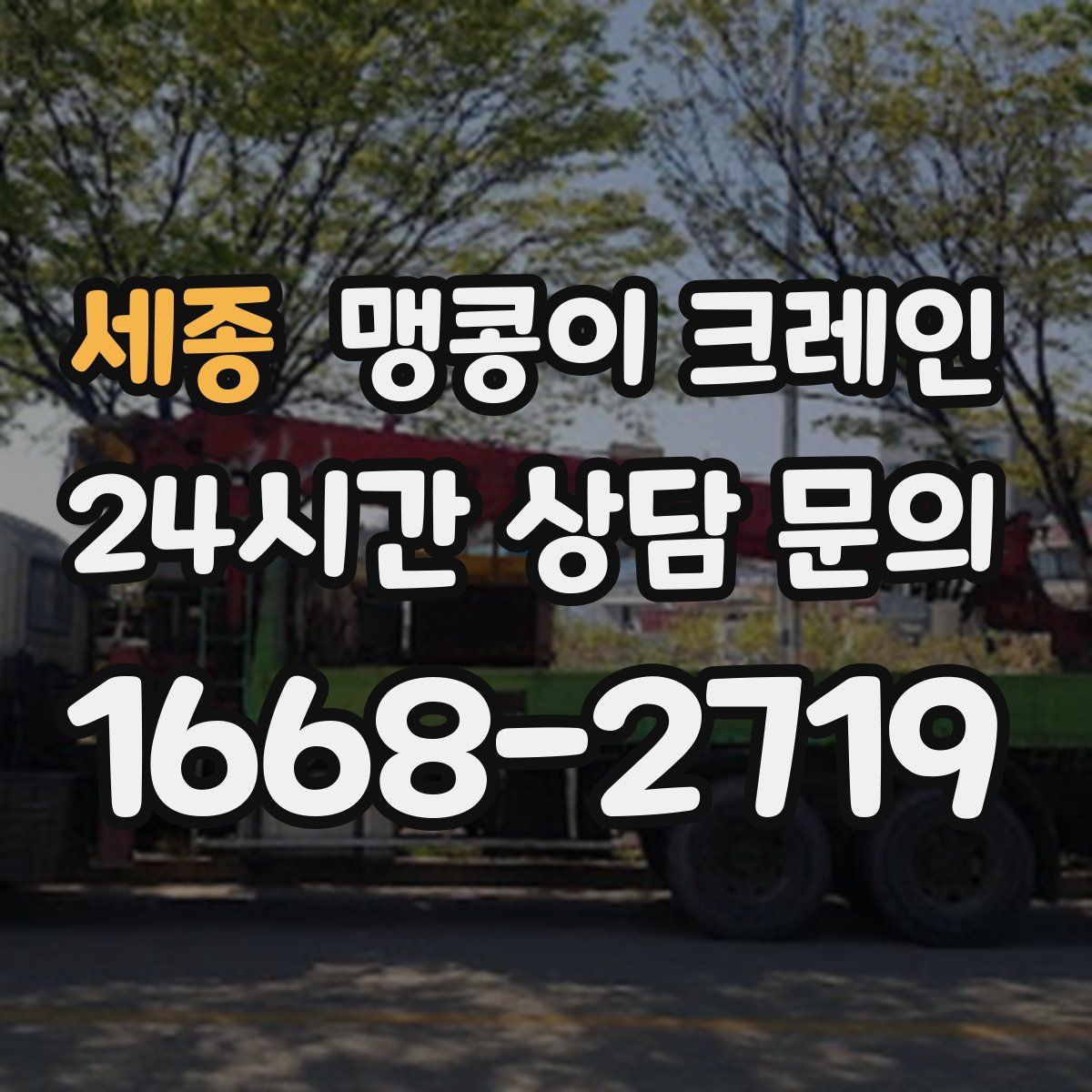 세종 맹콩이 크레인