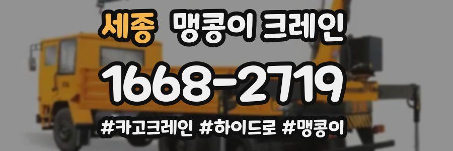 세종 맹콩이 크레인