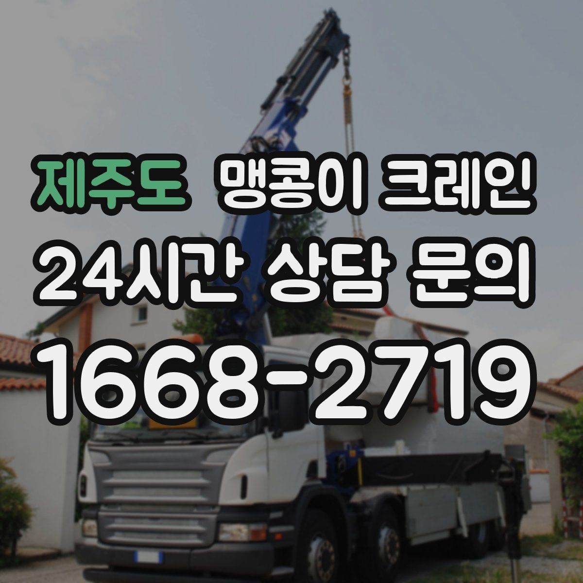 제주도 맹콩이 크레인