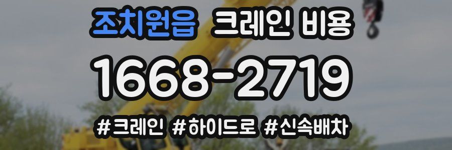 조치원읍 크레인 비용