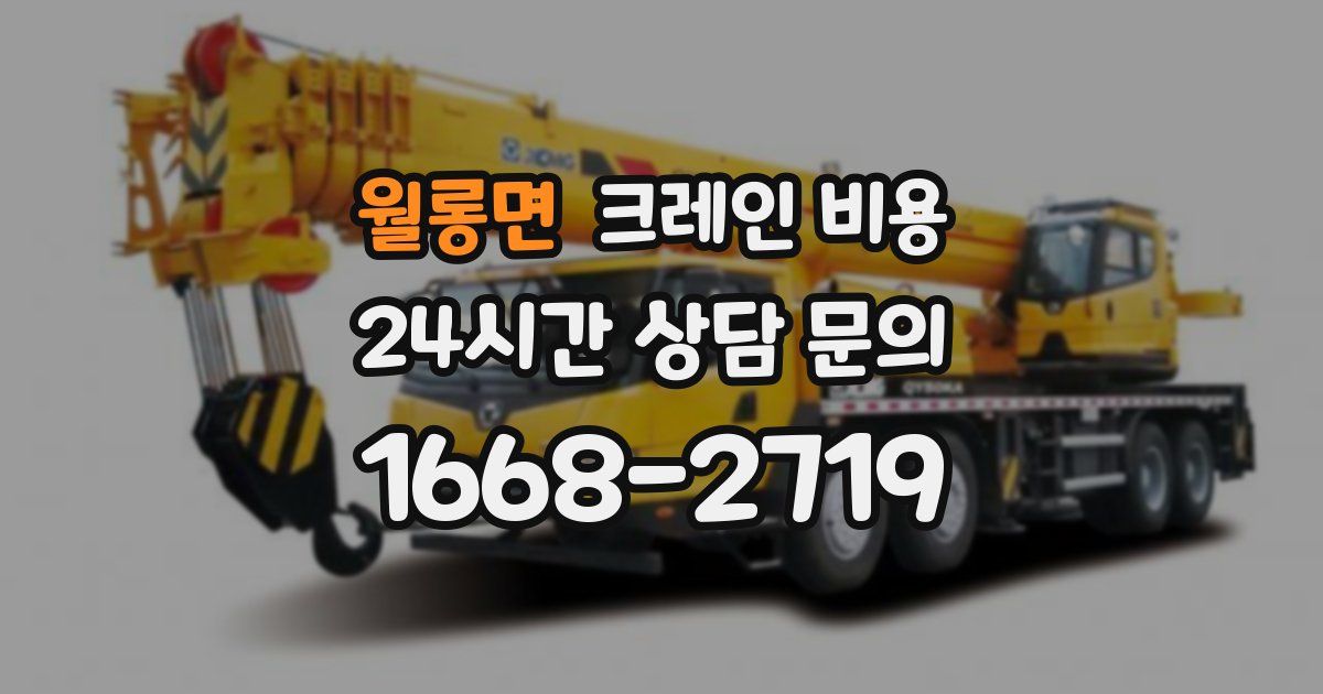 월롱면 크레인 비용