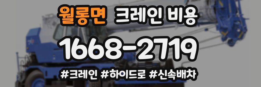 월롱면 크레인 비용