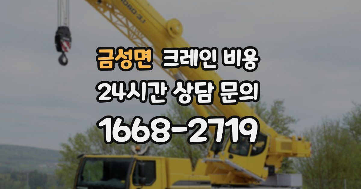 금성면 크레인 비용