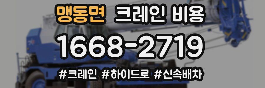 맹동면 크레인 비용