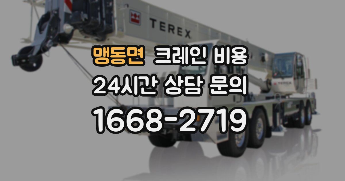 맹동면 크레인 비용