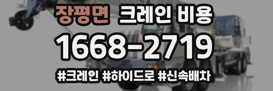 장평면 크레인 비용