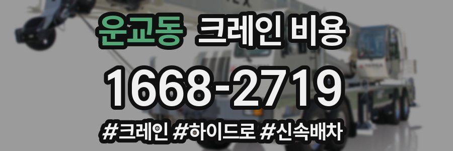 운교동 크레인 비용