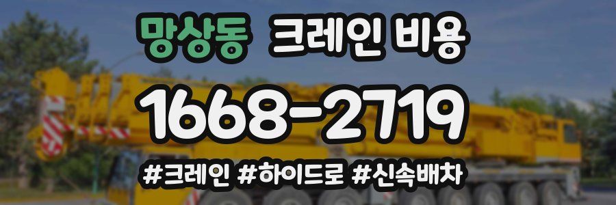 망상동 크레인 비용