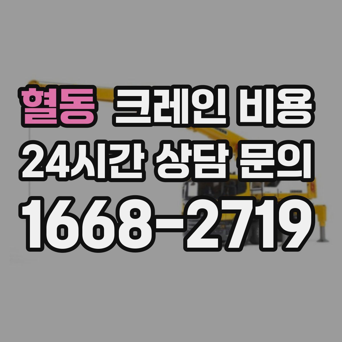 혈동 크레인 비용