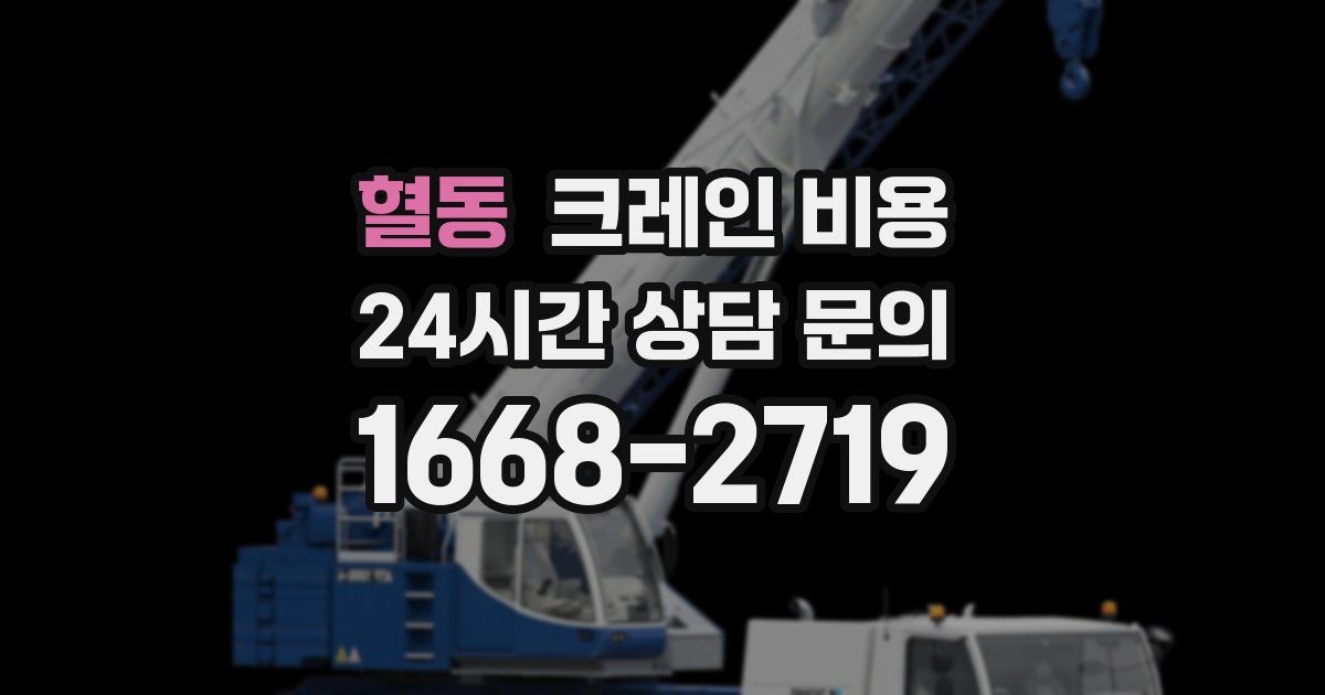 혈동 크레인 비용