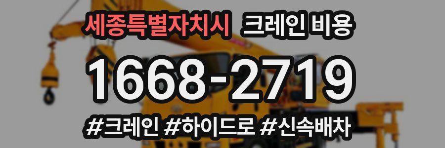 세종특별자치시 크레인 비용