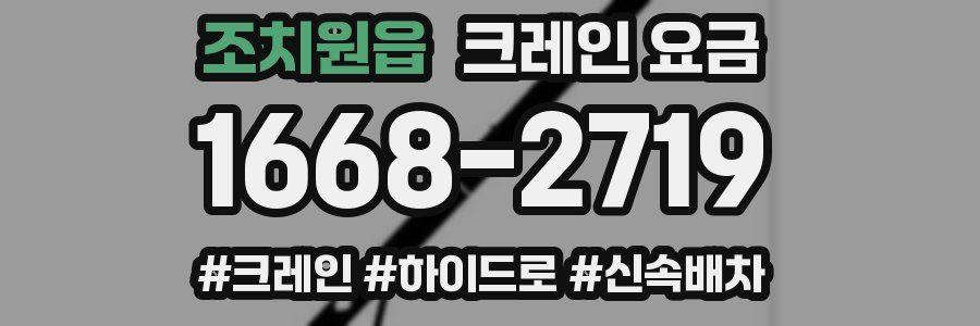 조치원읍 크레인 요금