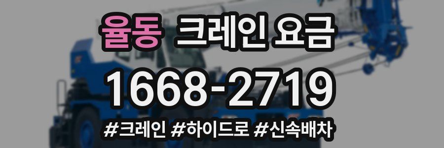 율동 크레인 요금