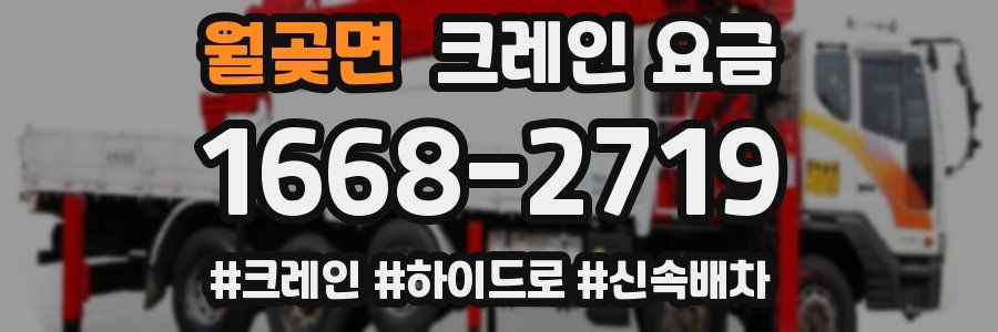 월곶면 크레인 요금