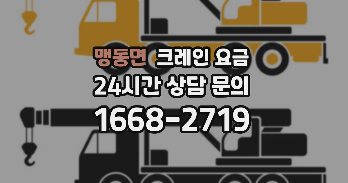 맹동면 크레인 요금
