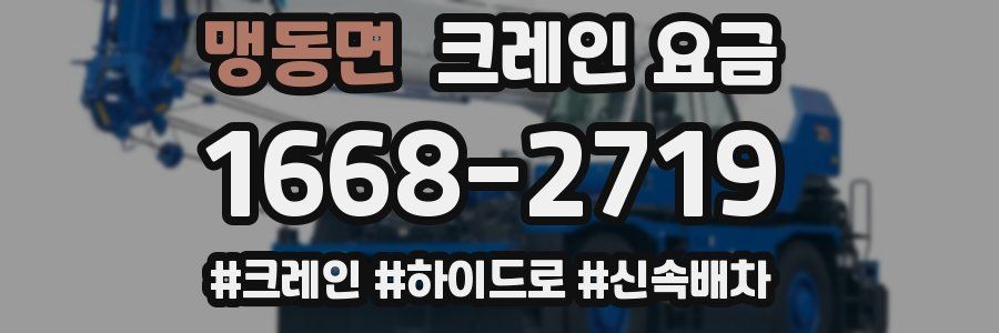 맹동면 크레인 요금
