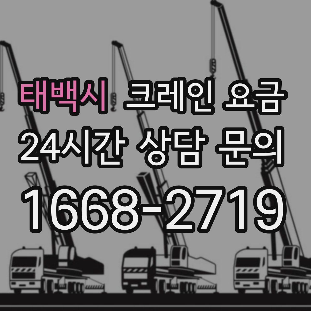 태백시 크레인 요금