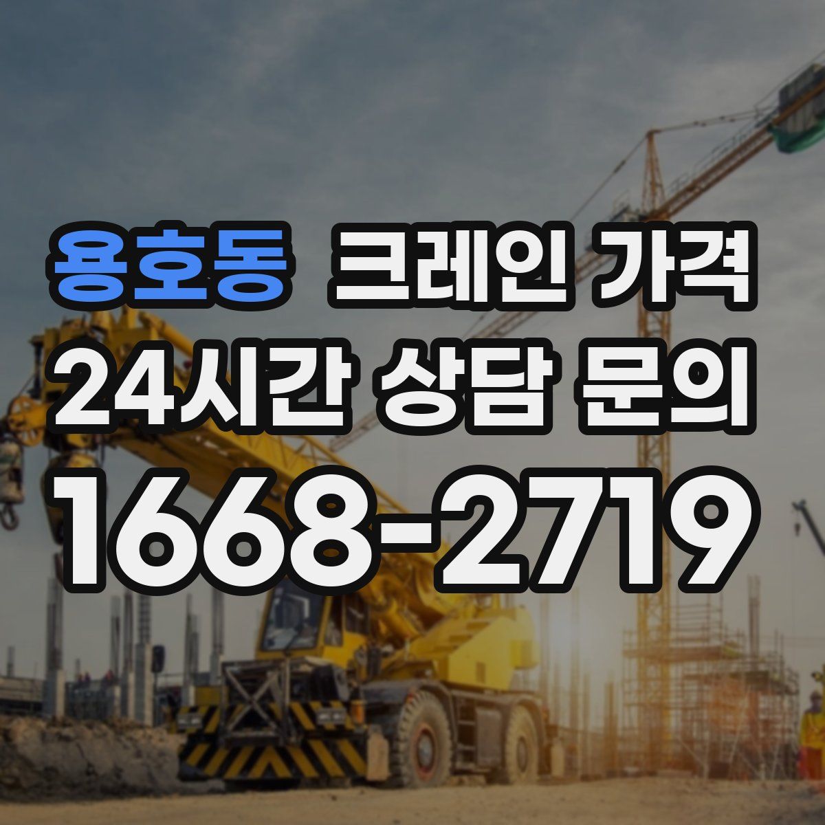 용호동 크레인 가격