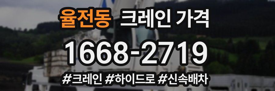 율전동 크레인 가격