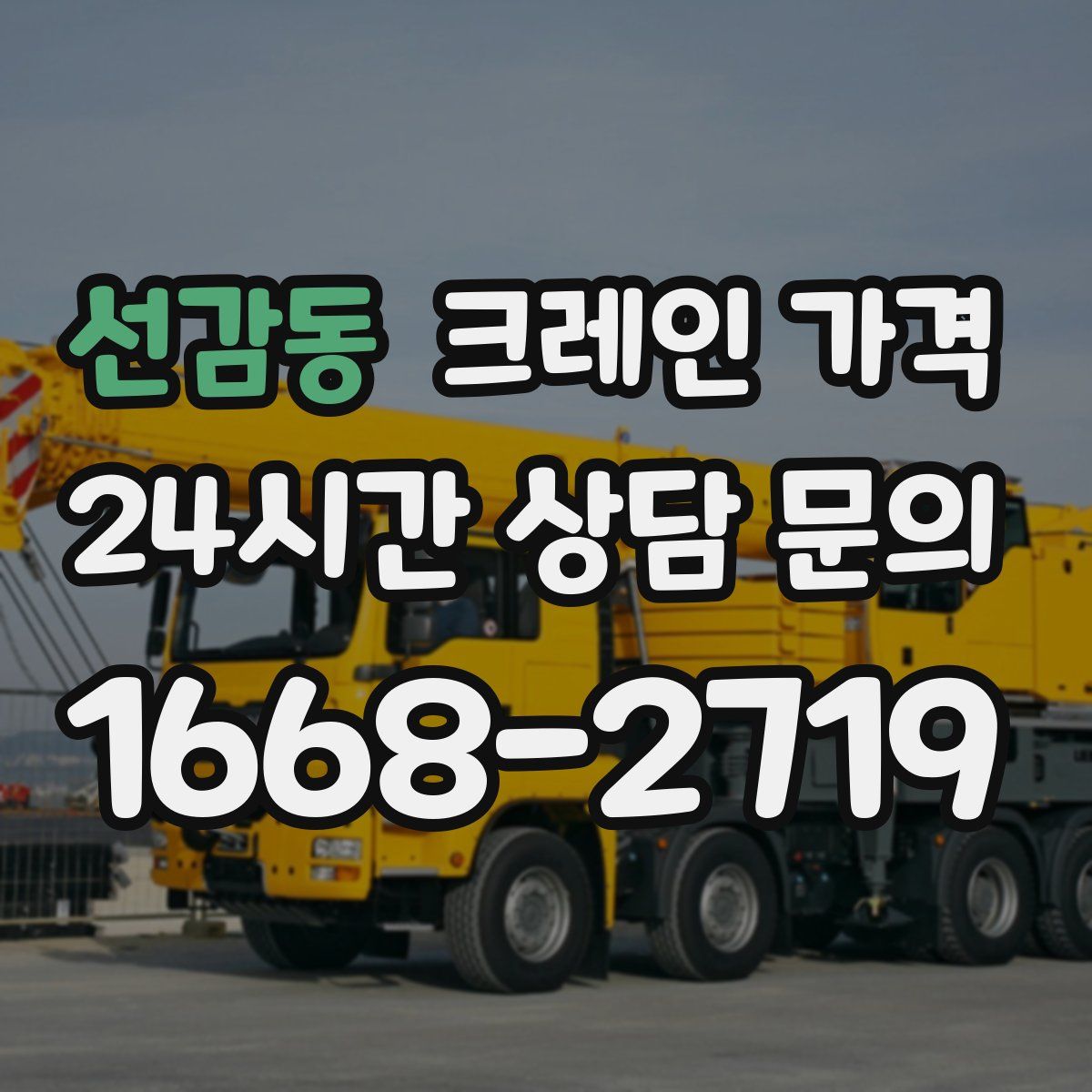 선감동 크레인 가격