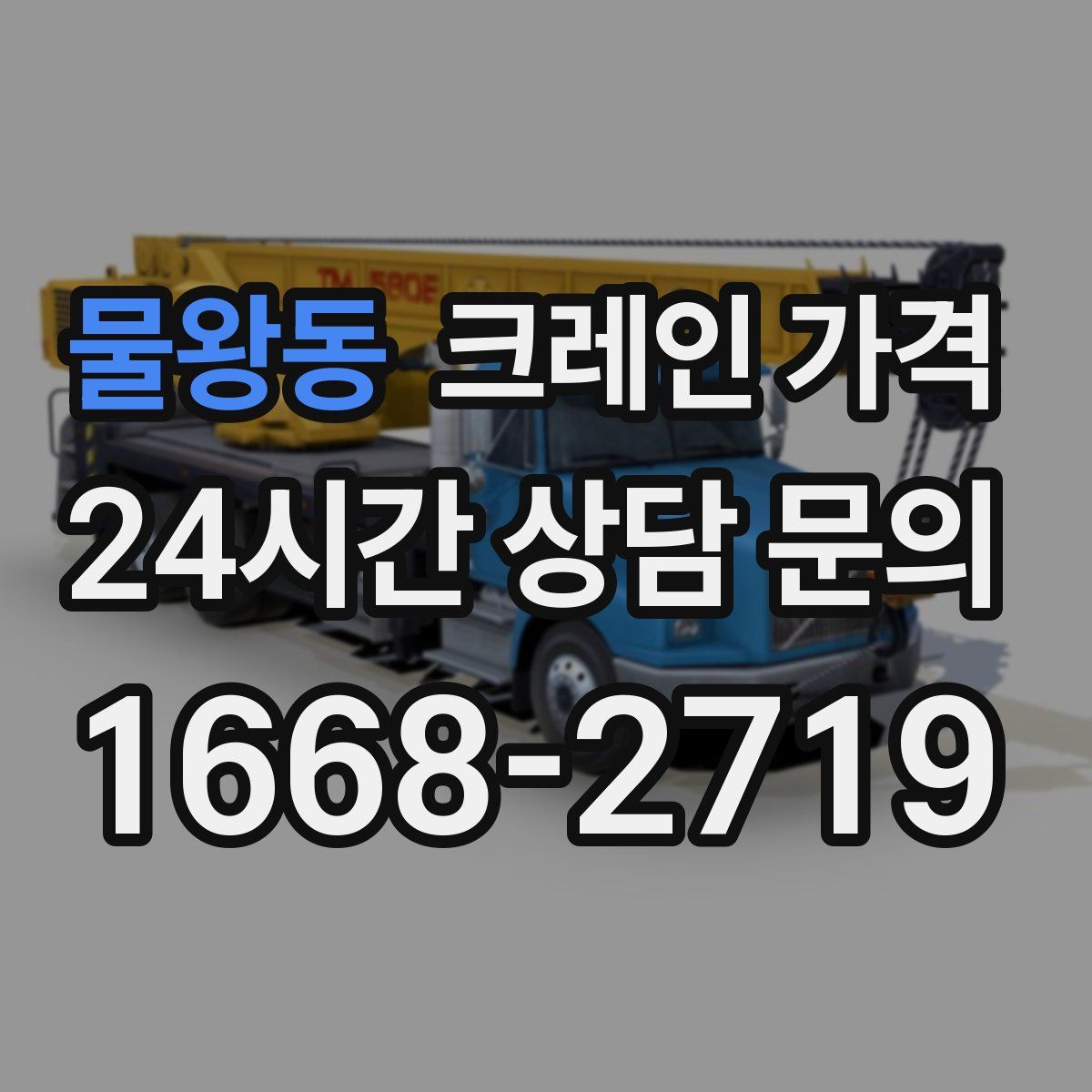 물왕동 크레인 가격